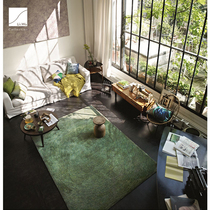 ESPRIT carpet living room bedroom floor mat imported wool green carpet dark green coffee table lawn carpet