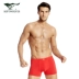 Bảy con sói đồ lót nam năm sinh nam võ sĩ băng băng năm quần short boxer quần short lớn màu đỏ đồ lót nam - Giống cái