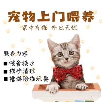 Chongqing Kitty Door-to-door Feeding Pet Nanny Shoveling Officials Door-to-door Feeding Clean Pet Custodian kitty accompanied by