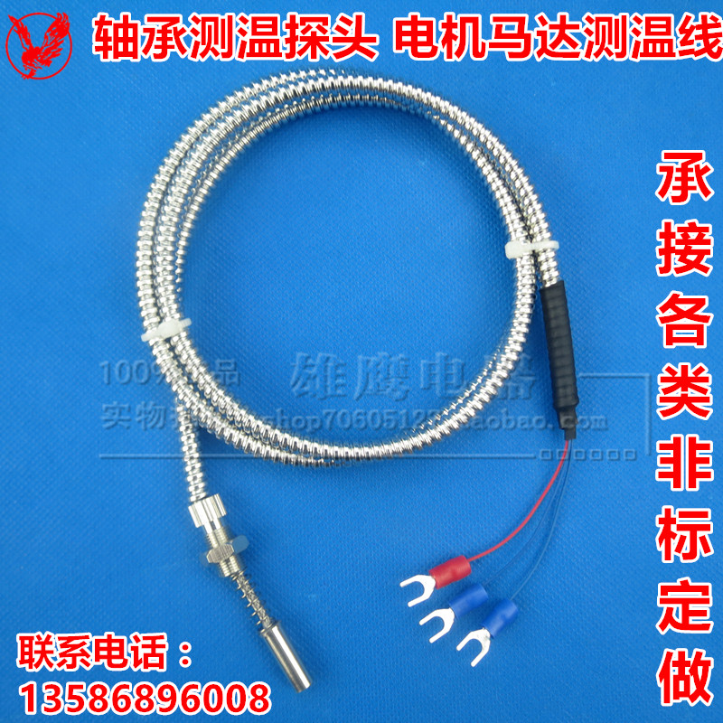 WZPM-201 end face thermal resistance Pt100 bearing temperature monitor motor thermocouple temperature measuring wire with sheath