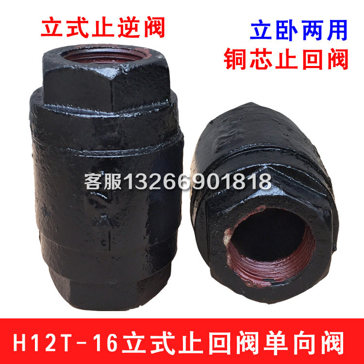 H12T-16 Silk mouth vertical check valve cast iron copper core water pipe internal thread stop valve DN20 25 40 50
