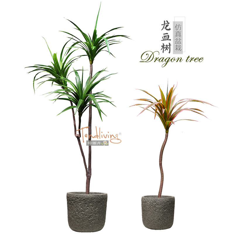 Simulation dragon blood tree lily bamboo indoor ground floor modern Chinese meditation Scenery Feng Shui Fake Green Plant Decoration Furnishing