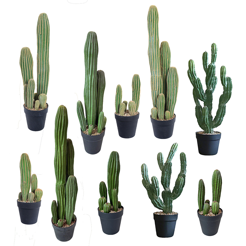 Artificial Multi-Headed Cactus, Small Tabletop Potted Plant, Indoor Desert-Style Decoration, Office Ornament, Green Plant