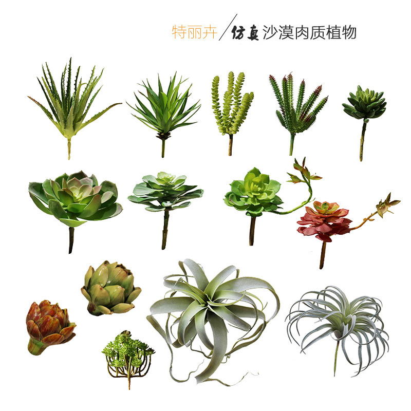 Artificial Desert Succulents, Money String, Guanyin Snow Treasure, Finger Peony, Stone Lotus, Aloe Vera Decorative Ornaments