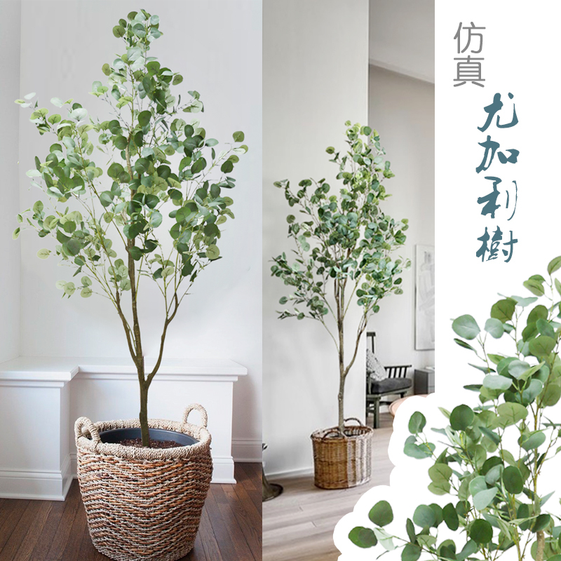 Artificial Eucalyptus Money Tree Indoor Nordic ins Modern Minimalist Style Internet-Famous Floor-Standing Green Plant Potted Plant