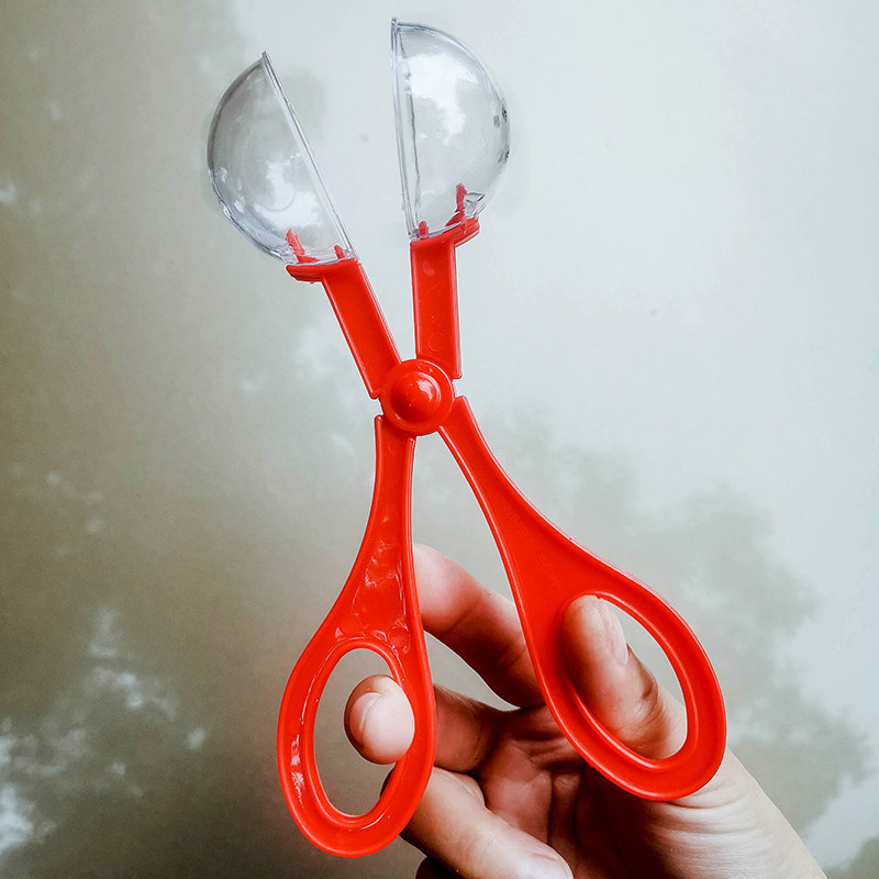 Primary School Students Science Observation Catch Insect Tool Bug Clips Tweezers Nursery School Outdoor Expeditions Trap Children Toys