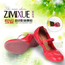 Soft Bottom Genuine Leather with Ballroom Dancing Water Soldiers Dancing Shoes Summer Old Mid-Year Practice Shoes Square Dance Modern Dance Shoes