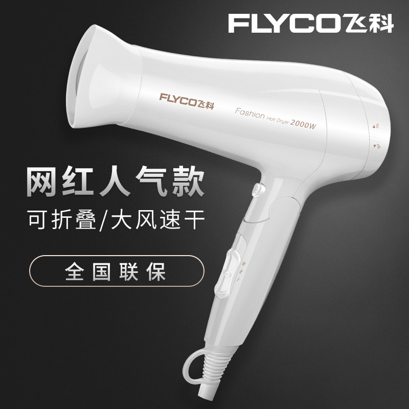 Flying Co Hair Dryer Hairdresshop FH6232 High Power 2000W Hairdryer Cold Hot Air Home Hair Salon