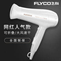 Flying Coelectric Hair Dryer Hairdryer Hairshop FH6232 High Power 2000W Blow Cylinder Hot And Cold Wind Home Hair Salon
