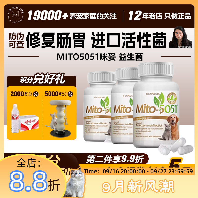 Adoption Home Mito5051 Mido Cat Probiotics Regulate Gastrointestinal Health, Kidneys, Urinary System, and Soft Stools Adoption Home Mito5051 Mido Cat Probiotics Regulate Gastrointestinal Health, Kidneys, Urinary System, and Soft Stools