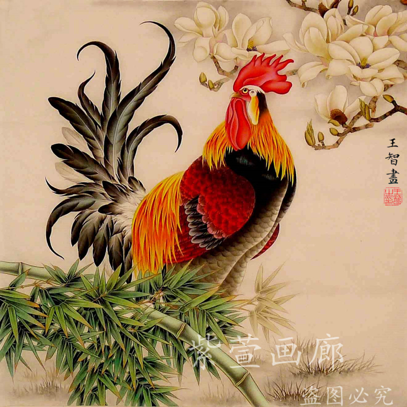The Work Pen Flower Bird Painting Large Chicken Hand Painted White Sketch manuscript) It can be directly on the color country to paint and sketch the animal