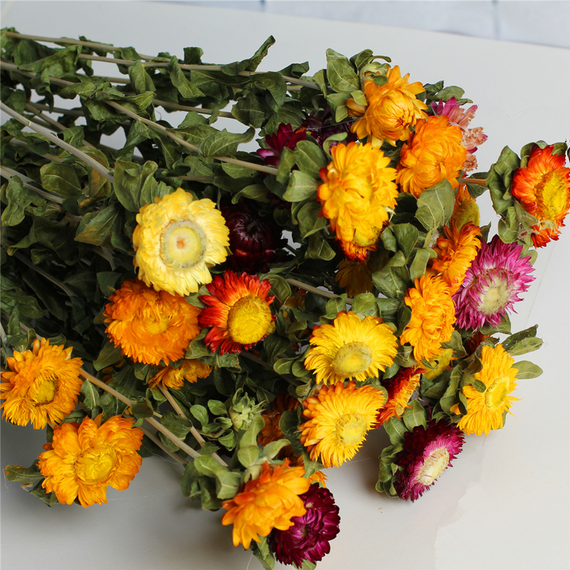 Net red ins Air dried flower bouquet Daisies Colorful chrysanthemum literary and artistic small fresh living room home decoration shooting props