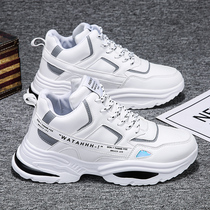 Spring 2021 new trend hundred and high gang shoes trend hundred shoes and casual daddy tide shoes