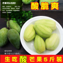 Sour and crisp raw to eat mango fresh acid small mango ivory Mango pickled Qingang now remove 5 kilos of Guangxi Baise