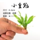 小皇冠1份/约5棵