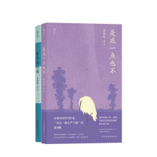 现代小说1919-1949年 黄国峻作品系列 盲目地注视+是或一点也不 套装2册 黄国峻著 说书人笔法写作