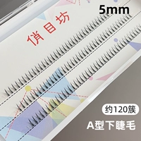 Qiomomingfang a -тип сегментация отдельного кластера Underclase 5mm