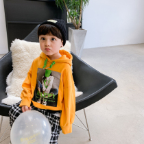Boys hooded sweater Childrens spring cotton childrens clothing Middle and large childrens spring and autumn tops Foreign spring clothes