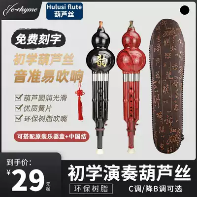 Hulusi beginner C downgrade B adjustment adult primary school students children self-study professional playing beginner musical instruments