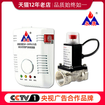 Yongkang brand gas alarm automatic shut-off valve detector natural gas pipeline gas alarm solenoid valve
