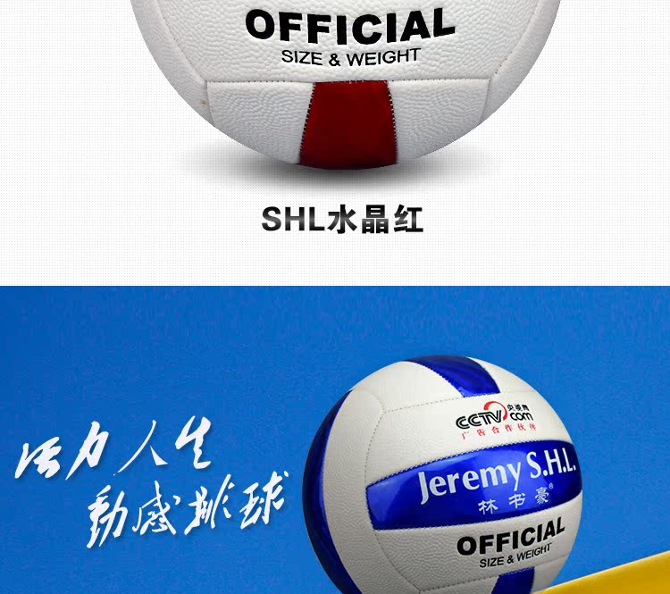Ballon de volley-ball - Ref 2008828 Image 5