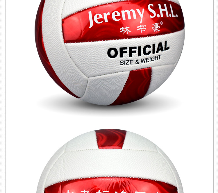 Ballon de volley-ball - Ref 2008828 Image 21