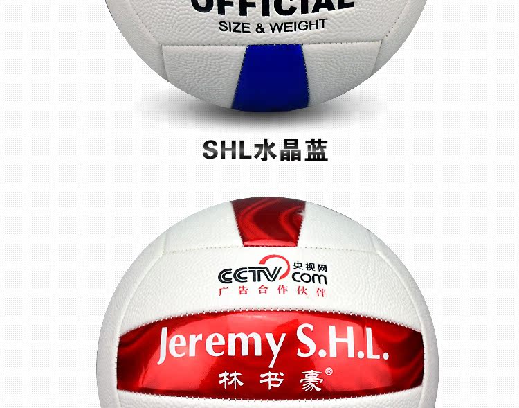 Ballon de volley-ball - Ref 2008828 Image 4