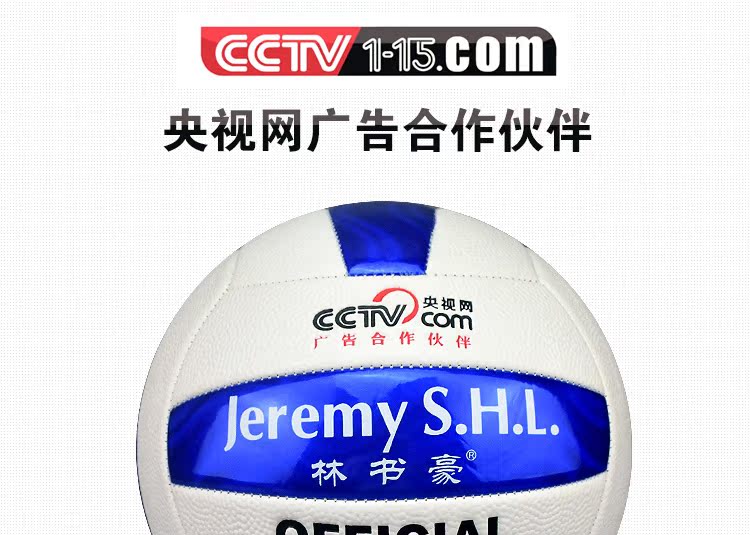 Ballon de volley-ball - Ref 2008828 Image 3