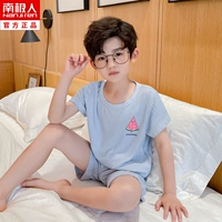 DNY207 Арбуз (мальчик)#5n