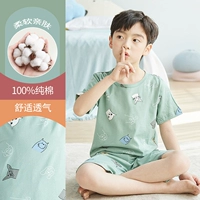 DNY037 Bean Green Dinosaur#2K
