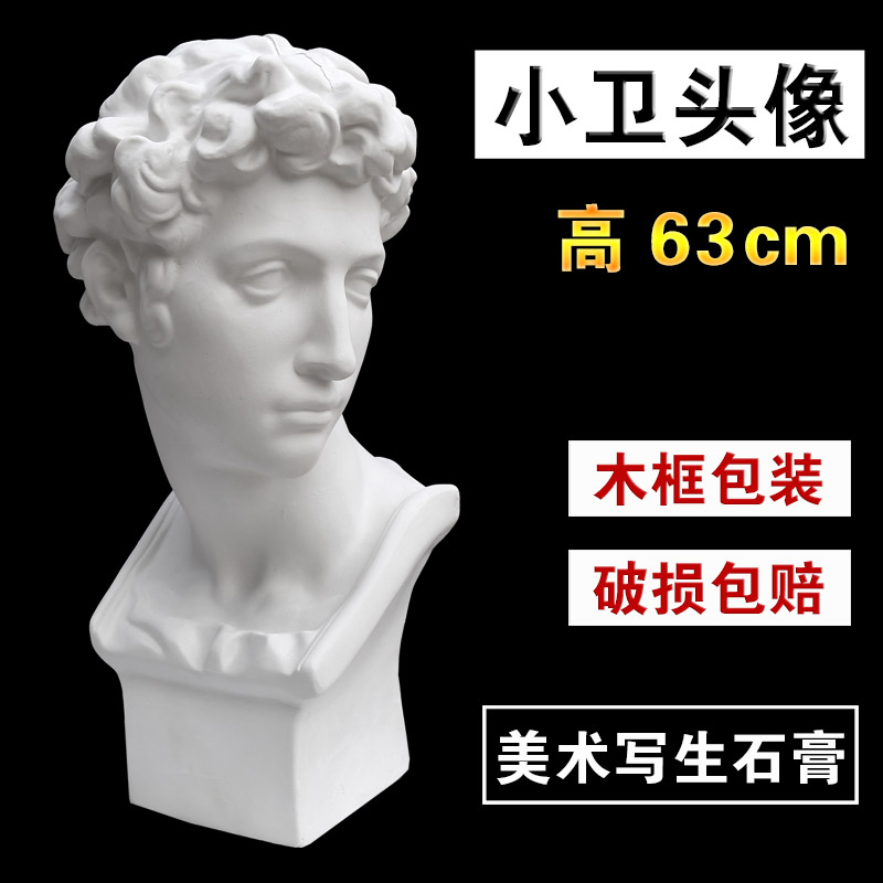 Giuliano Medici Gypsum Bust Petty plaster Like 63cm Fine Art sketch teaching Writing supplies