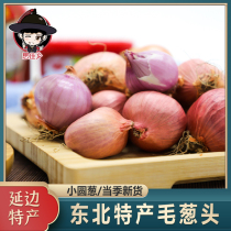 Northeast specialty shallot head shallot beads shallot small round shallot onion new product 500g