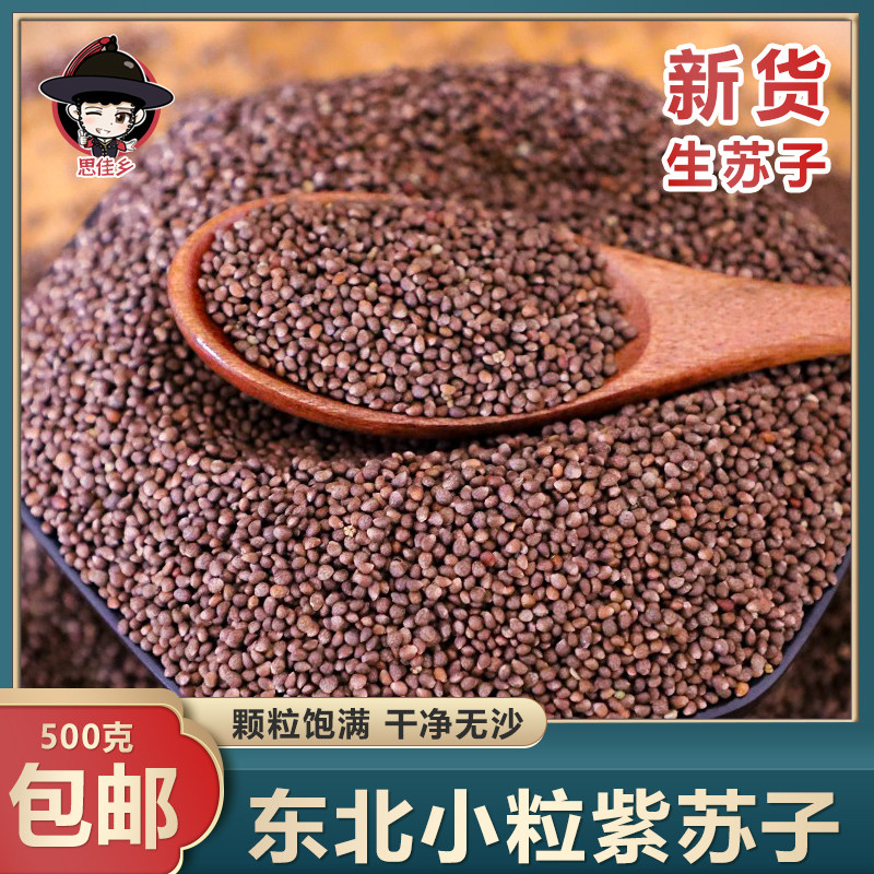 Northeast Black Ash Su Subgrain Suzi Seed Raw Suzu Pressed Oil Seasonings 500 gr