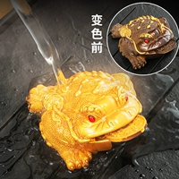 Бутик для украшения чайника может поддержать золотистое Cicada Crab Tea Table Set Set Tea Plate Decoration от чайного стола Декоративное изменение цвета, чтобы поддержать