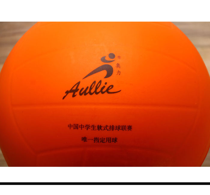 Ballon de volley - Ref 2012834 Image 9