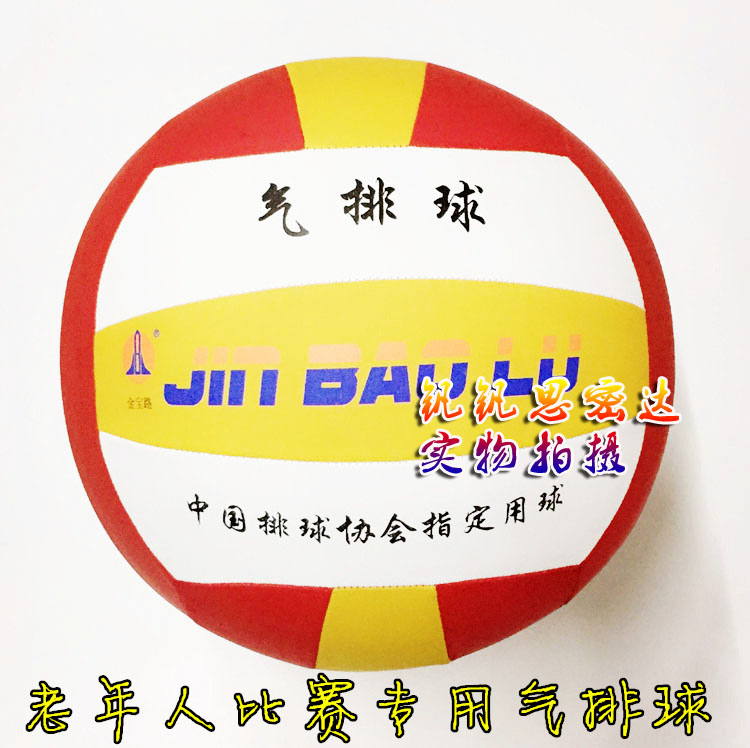 Ballon de volley-ball - Ref 2010112 Image 4