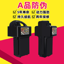 48V36V lead-acid to lithium battery Emma green source Yadi Jiayuan Gemma bird bird 12AH20AH general lithium battery