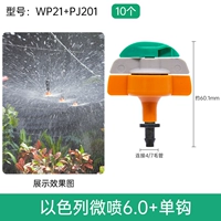 Израильский микроалпрейский внутренний висящий 6.0+ Одиночный крючок/10 WP21+ PJ201