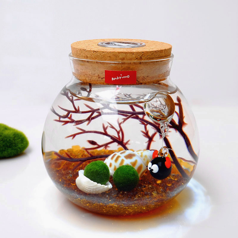 Seaweed Balls Moss Microscape Eco Bottle Birthday Gift Idea Potted Tabletop Indoor Hydroponic Plant