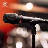 奥世声/AUSTRIAN AUDIO OD303/OD505 РАБОР ХАРАКТЕРДЫ