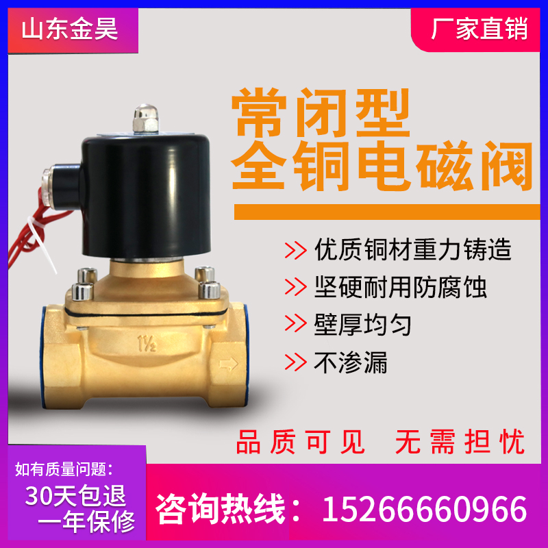 Bath boiler special solenoid valve pure brass automatic valve all copper normally closed solenoid valve water gas valve water switch valve