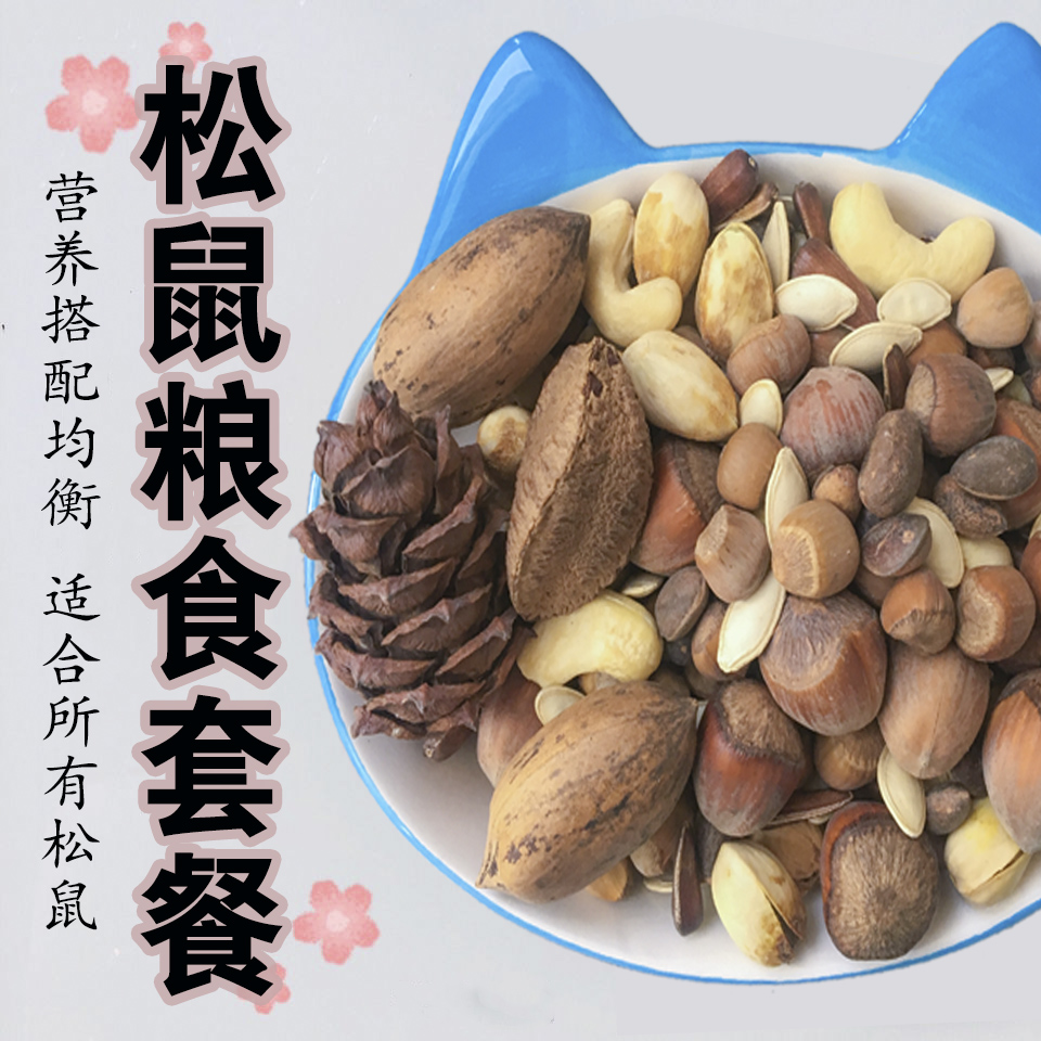 Squirrel Food Staple Food Nutritional Self-matching packages Snack Staple Foods feed pine nuts