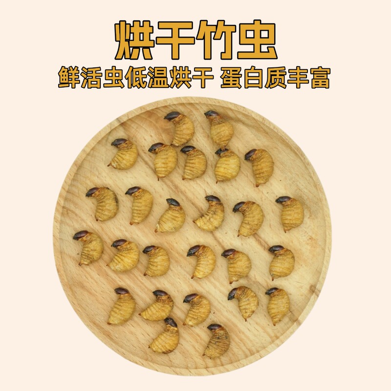 Dried Bamboo Worms, Squirrel and Hamster Snacks, Edible Bamboo Shoots, Insect Snacks for Sugar Gliders and Gerbils, Protein Supplement for Weight Gain Dried Bamboo Worms, Squirrel and Hamster Snacks, Edible Bamboo Shoots, Insect Snacks for Sugar Gliders and Gerbils, Protein Supplement for Weight Gain