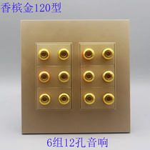 Champagne gold type 120 six-position protruding head 5 1 surround audio speaker six-head 12-hole banana head socket panel