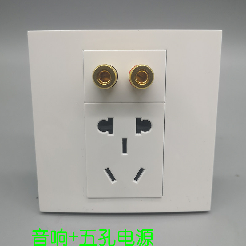 Type 86 multimedia surround sound two-head audio line sound double head 10A-hole power supply wall socket panel
