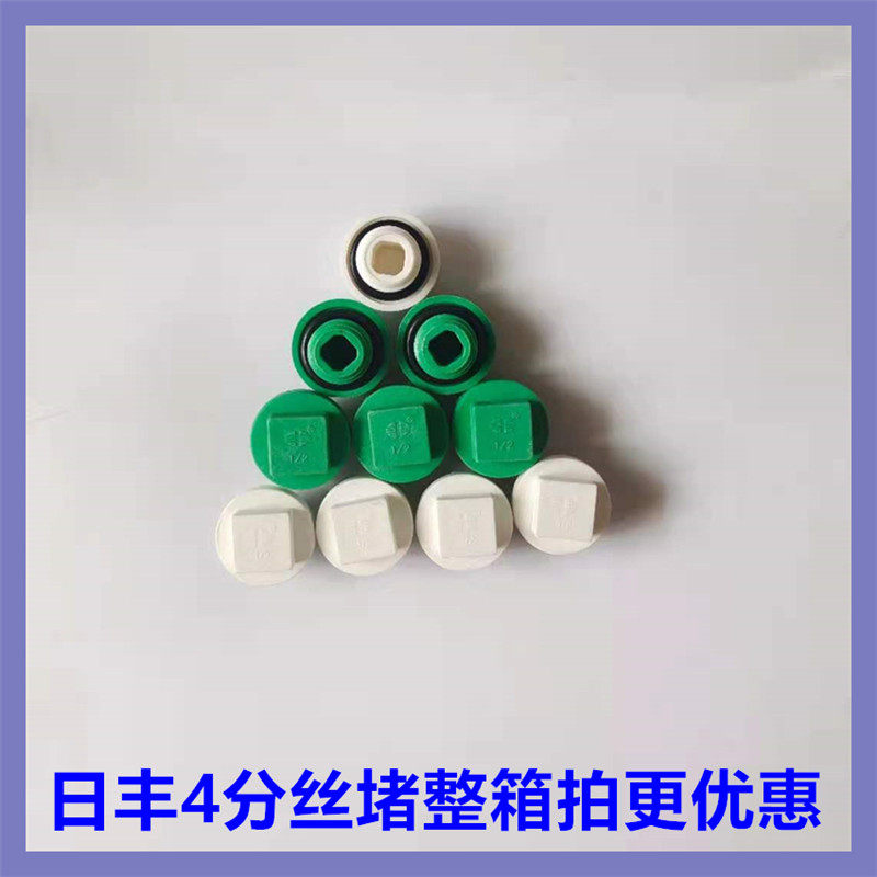 Guangdong Foshan Rifeng PPR pipe fittings fittings water pipe household 20 (4 points) plug plug white green
