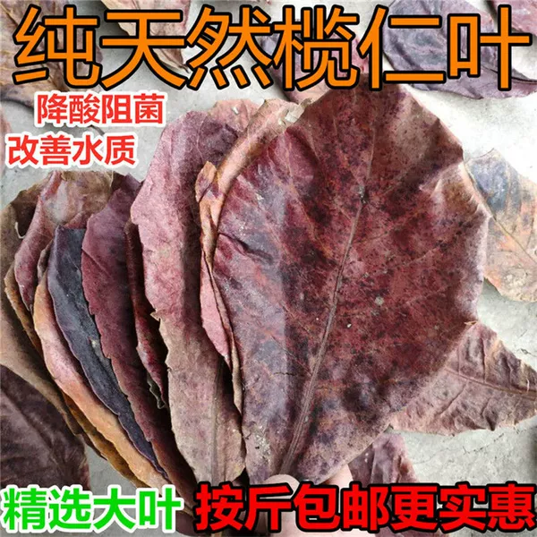 Товары от 欣苑水族
