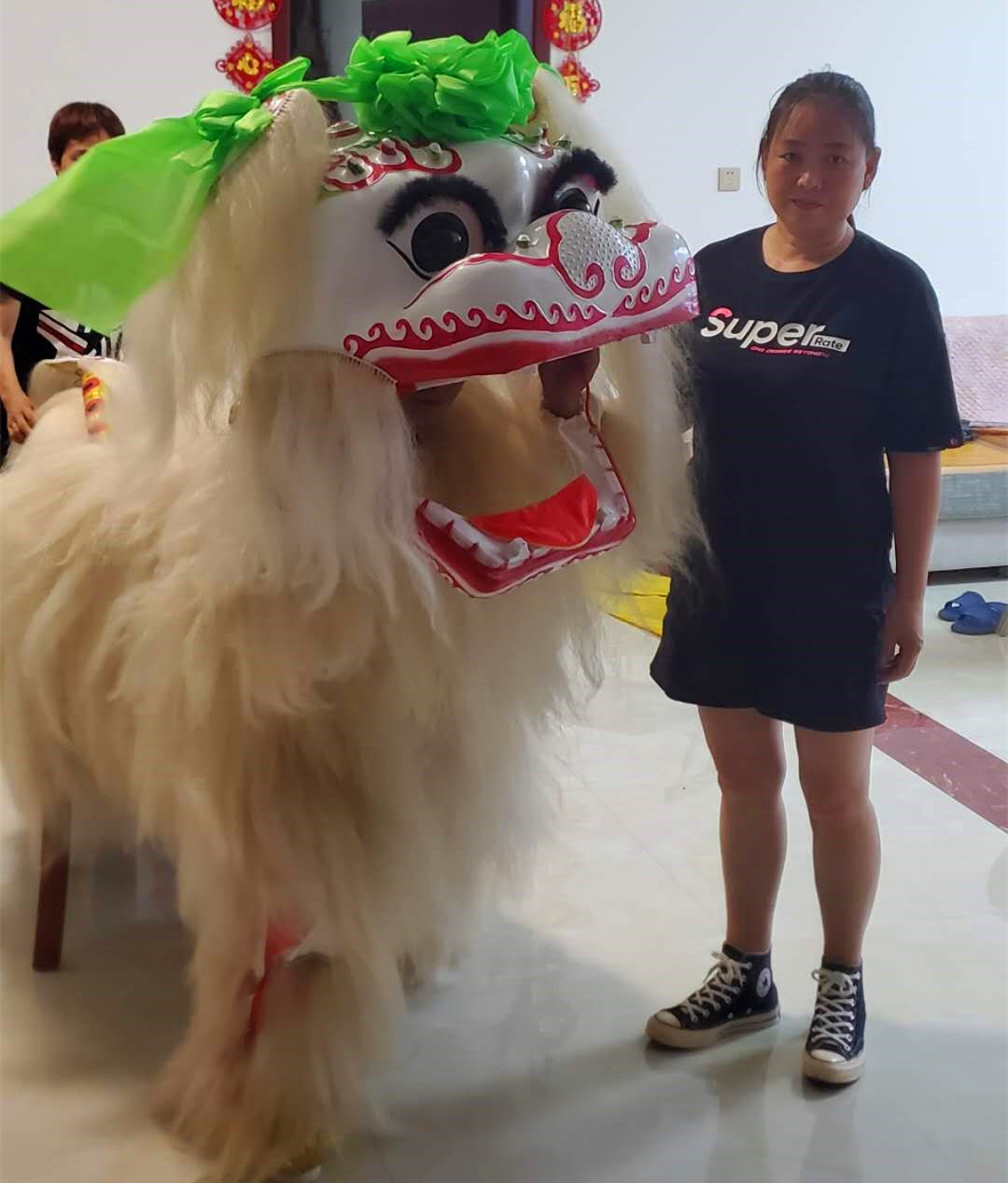 Lion Lion Props Complete Set Performance Special North Lions Beijing Lion's Lion's Head Start Business Celebration Annual Conference Performance Dance Lion Supplies