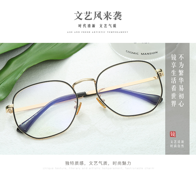 Montures de lunettes en Alliage cuivre-nickel - Ref 3141531 Image 16