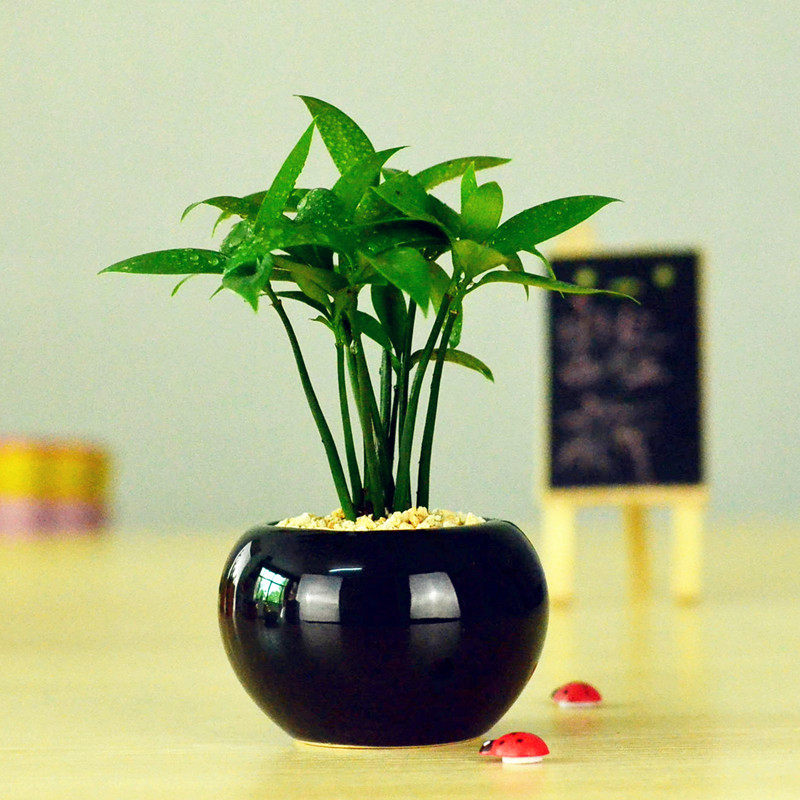 �Ӻ�Ե����辰